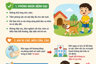 Trường mầm non Nhân Nghĩa chung tay phòng, chống bệnh dại – bảo vệ sức khỏe trẻ em và cộng đồng