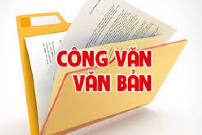 Báo cáo thường niên tháng 6 năm 2025